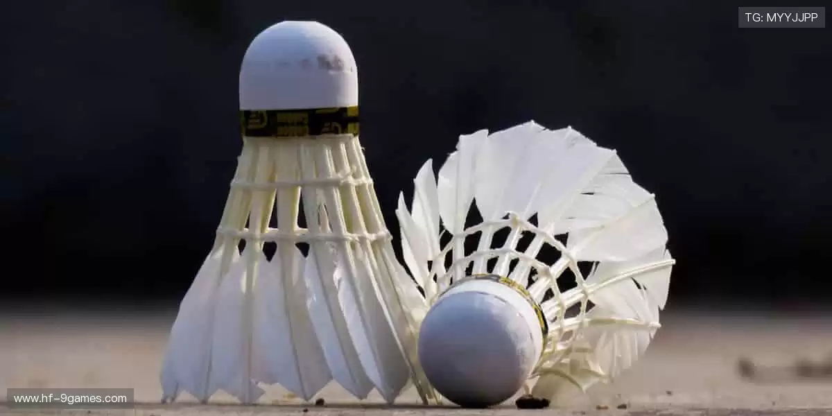 一键直击全球赛事，精彩从不缺席！🏀